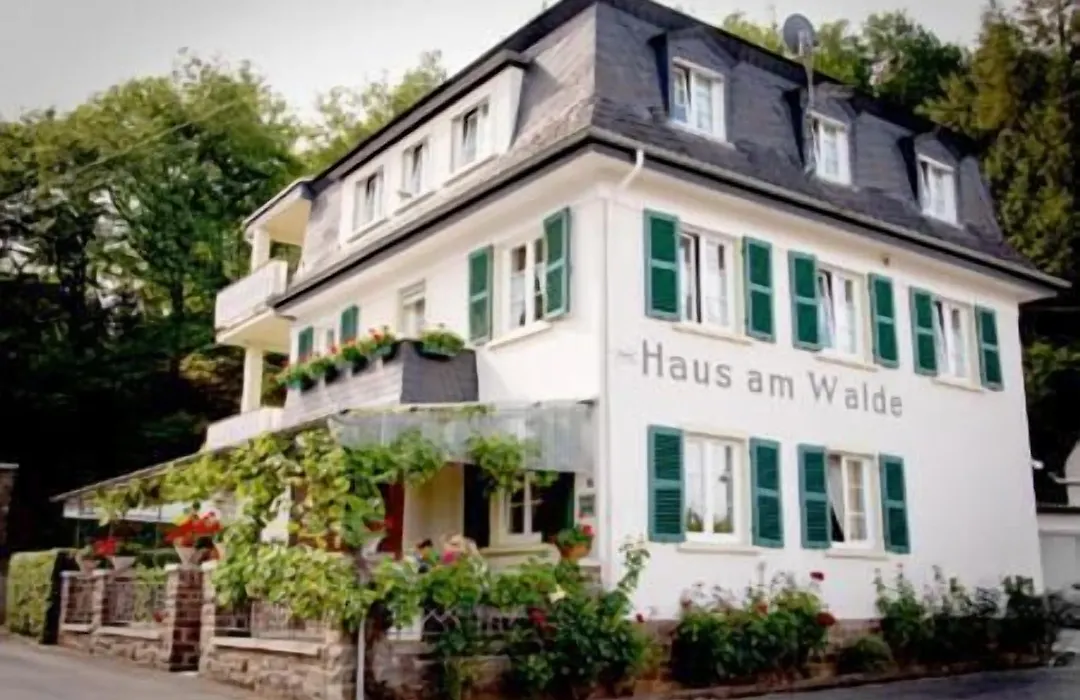 Pension Haus am Walde Brodenbach, Mosel-1